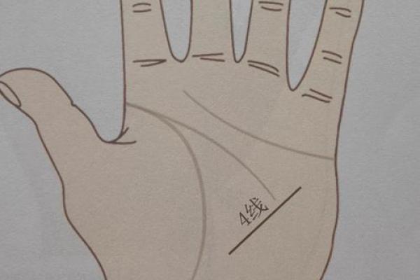 揭秘手纹的奥秘：四条线如何影响你的命运和性格