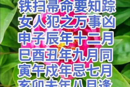 女命寅丑暗合，命运揭开不为人知的秘密！