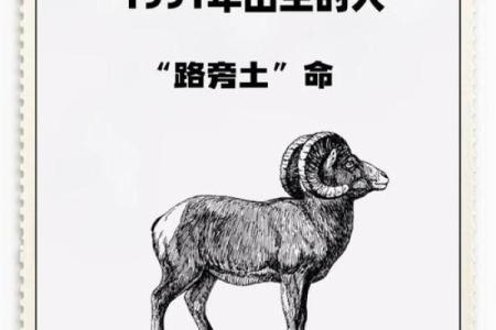 命旺土命属羊男孩的命理解析与人生发展建议