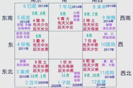 农历十月八十命主分析：探寻命理中的秘密与人生方向