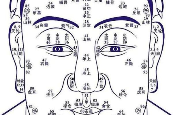 揭开火六局命主禄存的神秘面纱：命理与人生的深度探索