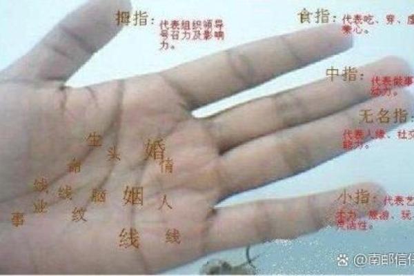 从手纹看，谁有二婚命？解读手相中的人生轨迹