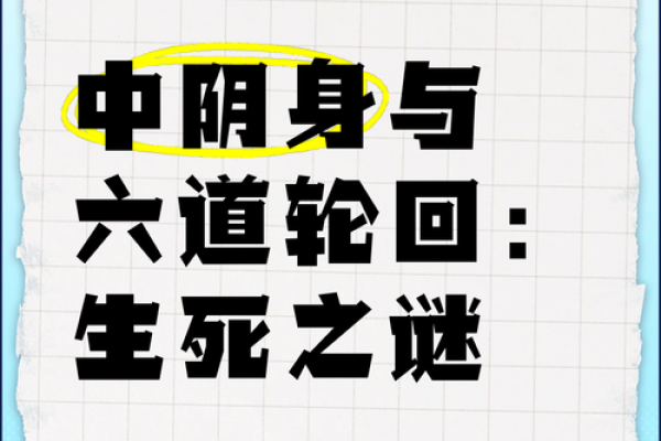 十六个月的人是什么命？探寻生命之道的奥秘与启示