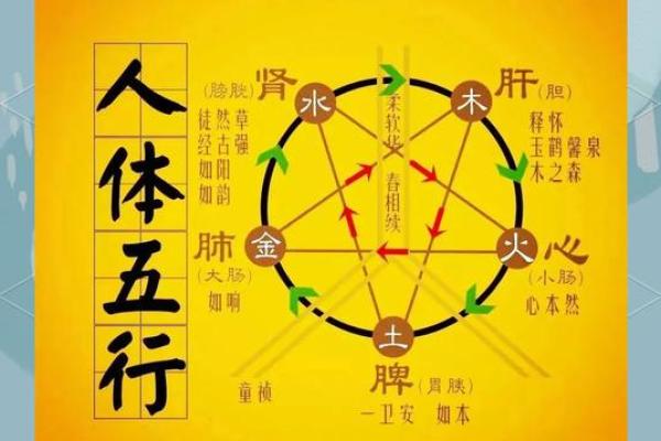 三火三土两金命：解密五行之中的命运奥秘与人生智慧