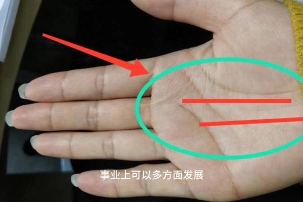 事业线缺失的人生命运如何?揭秘命理与性格的关系! 事业线缺失的人生命运如何?揭秘命理与性格的关系!