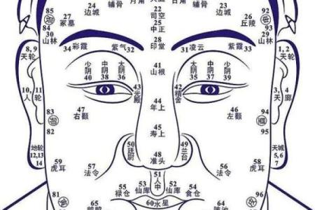 揭开火六局命主禄存的神秘面纱：命理与人生的深度探索