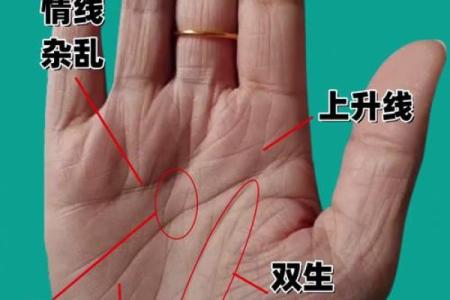 从手纹看，谁有二婚命？解读手相中的人生轨迹