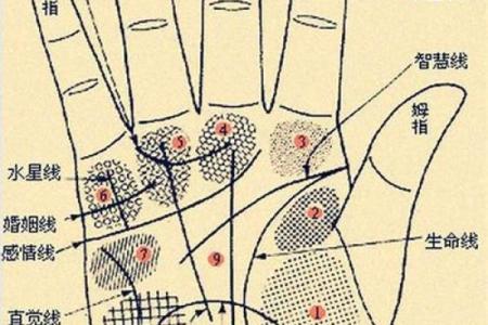 事业线缺失的人生命运如何？揭秘命理与性格的关系！