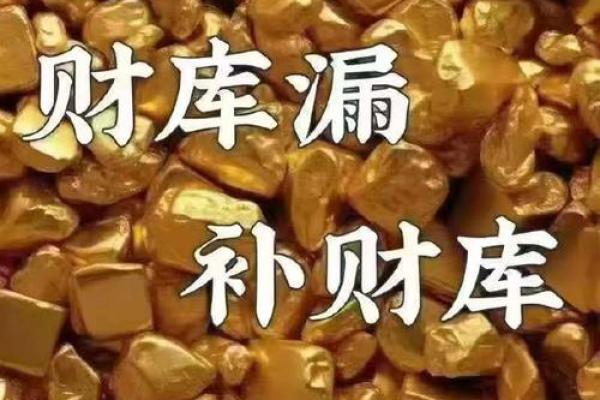 财库：探索财富的蓄积与流动之道