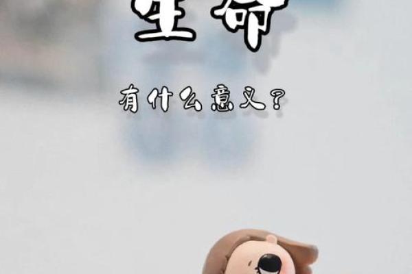 属马木命的命名之道：赋予生命新的意义与灵动