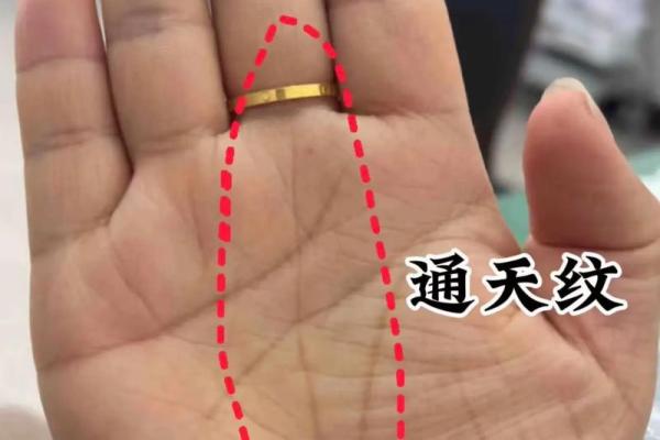 女人双手川字掌的命运解析:揭示生活中的吉凶微妙变化 女人双手川字掌的命运解析:揭示生活中的吉凶微妙变化