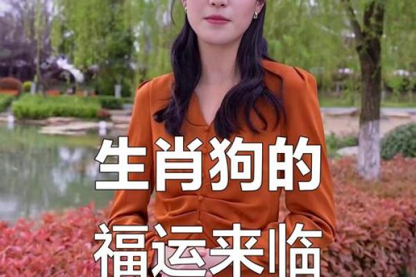 十月属狗之人，命运与运势全解析！