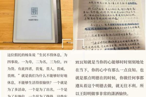 桑松木命的最佳配命解析：探寻命理的奥秘与和谐之道