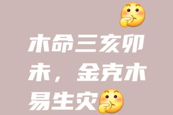 木命最佳配偶：与哪些命相辅相成，齐心协力？