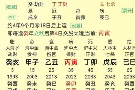 壬寅年揭秘：什么年，什么命？探索生肖的奥秘与命理的深邃