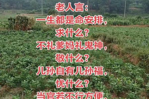 什么命的人适合当官命的女人，她们的命理特征与成功之路