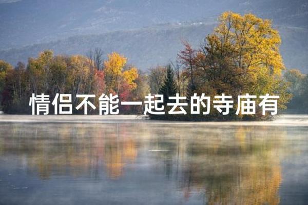 命运交叠：那些不能踏入寺庙的因缘故事