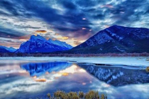 属狗马烈如中日命理解析:命运与个性之间的微妙关系 属狗马烈如中日命理解析:命运与个性之间的微妙关系