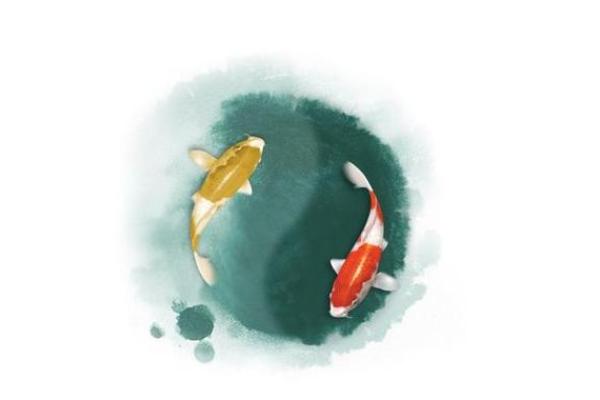 属狗马烈如中日命理解析:命运与个性之间的微妙关系 属狗马烈如中日命理解析:命运与个性之间的微妙关系