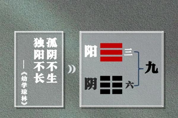 揭示清贵之命：探寻命格背后的秘密与智慧