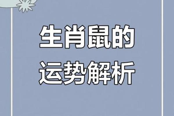 1996年鼠年的命理解析：柔韧智慧与机遇并存的命运之路