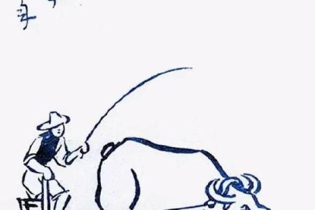 农历六月牛命解析：兄弟情深，谦逊踏实的生活哲学