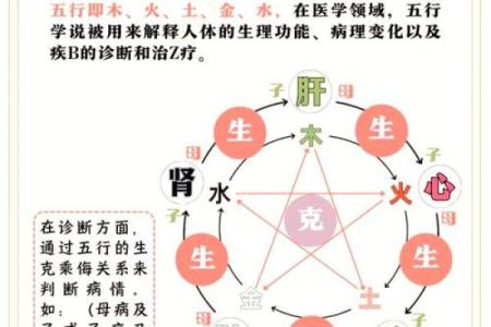 沙中金命与相克命理的深度解析与相生关系探讨