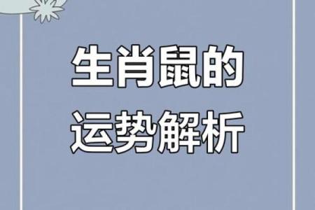 1996年鼠年的命理解析：柔韧智慧与机遇并存的命运之路
