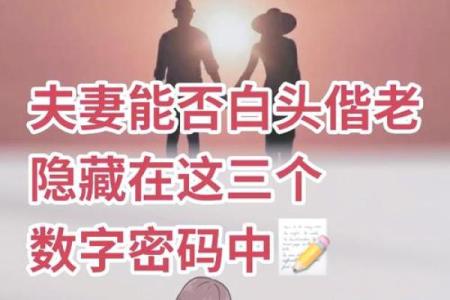 食伤女命嫁什么男人合适：幸福婚姻的秘密武器