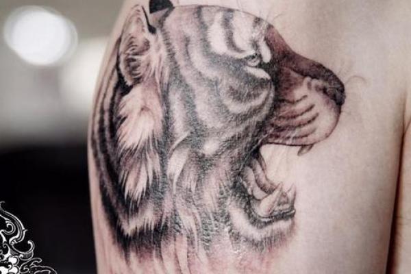 属虎火命最适合佩戴的饰品推荐,助你焕发旺盛生肖魅力! 属虎火命最适合佩戴的饰品推荐,助你焕发旺盛生肖魅力!