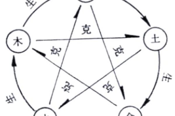 属狗人的命理与运势:金木水火土五行的深刻解析 属狗人的命理与运势:金木水火土五行的深刻解析