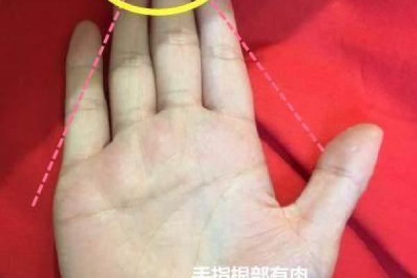 皇后命的解析:揭示你命中注定的财富与荣耀 皇后命的解析:揭示你命中注定的财富与荣耀