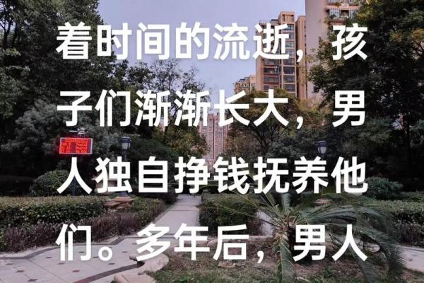 命运与选择:揭示导致男人命运不佳的4大因素 命运与选择:揭示导致男人命运不佳的4大因素