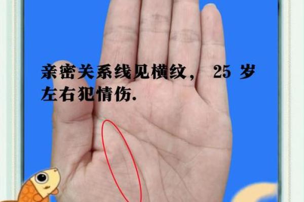 女命手相中的老茧象征与命运之道的启示 女命手相中的老茧象征与命运之道的启示