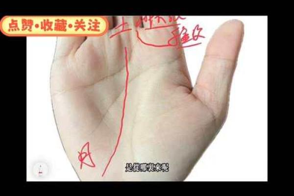 女命手相中的老茧象征与命运之道的启示 女命手相中的老茧象征与命运之道的启示