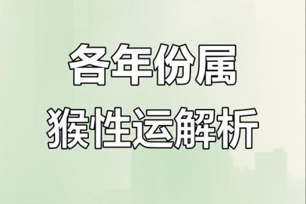 属猴石榴木命与车号最佳搭配解析 属猴石榴木命与车号最佳搭配解析