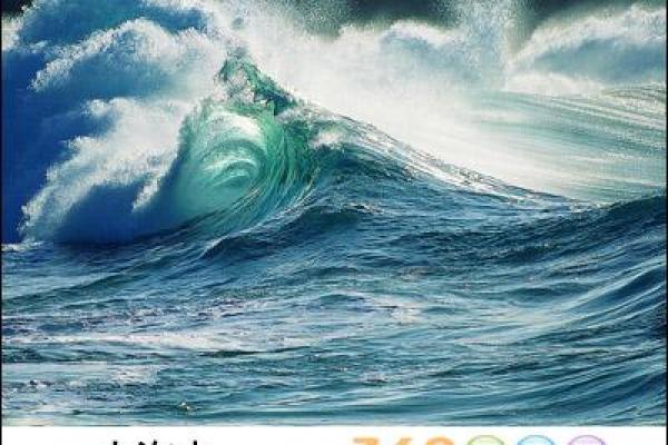 属狗水命男孩起名宝典:让名字陪伴他一生的幸福与成功 属狗水命男孩起名宝典:让名字陪伴他一生的幸福与成功