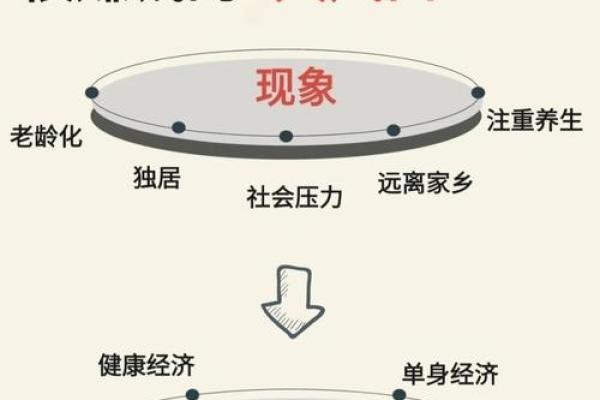 拼了命去赚钱的意义与价值：生活的多重选择之路