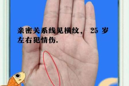 女命手相中的老茧象征与命运之道的启示