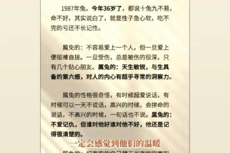 属兔女人的懒与命：揭秘她们的真实生活态度与命理解析