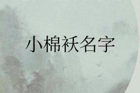 属狗水命男孩起名宝典：让名字陪伴他一生的幸福与成功