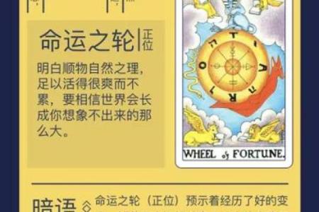 命运之轮：解析上等命好命男性的命格特征与人生优势