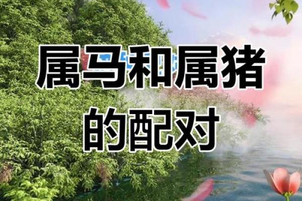 木兔命与其他命相合的婚姻配对指南