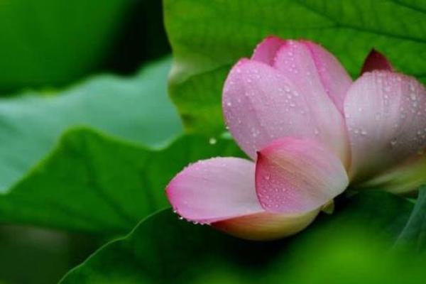 揭秘涧下水命：助你找到人生的更大财富与机遇