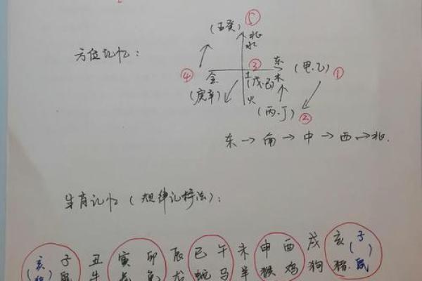 木命与土命的相克关系探讨