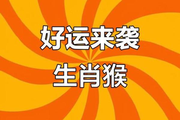 属猴的67岁命运解读:智慧与成长的转折点 属猴的67岁命运解读:智慧与成长的转折点