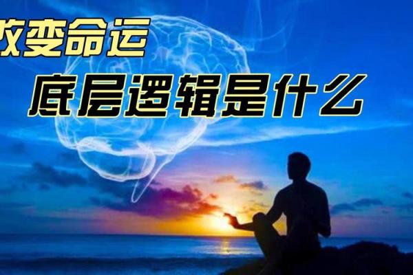 命运的根基:从何而来,扎根何处? 命运的根基:从何而来,扎根何处?