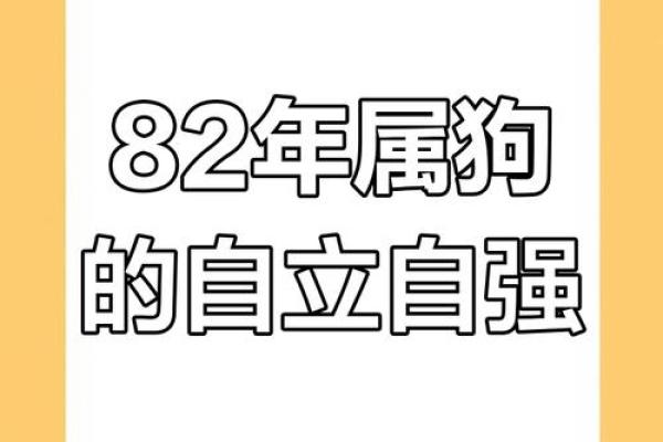 82年属狗的人命运解析:揭开性格与未来的神秘面纱 82年属狗的人命运解析:揭开性格与未来的神秘面纱