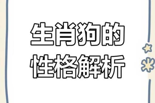 82年属狗的人命运解析:揭开性格与未来的神秘面纱 82年属狗的人命运解析:揭开性格与未来的神秘面纱