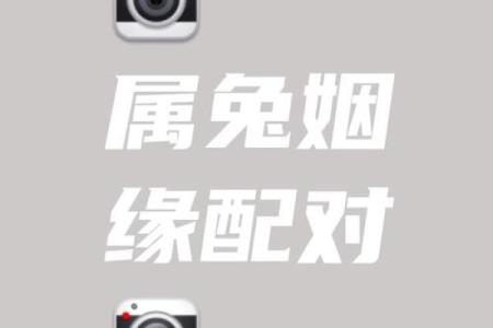 木兔命与其他命相合的婚姻配对指南